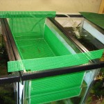 Egg scatter breeder basket