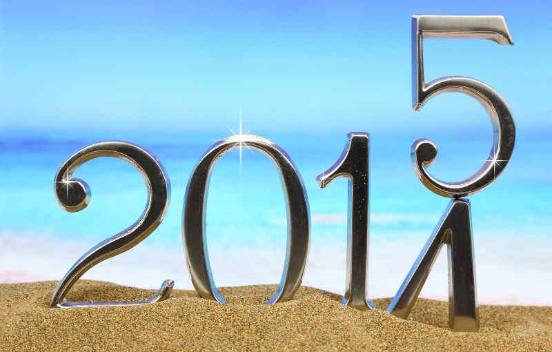 2015 The year ahead…..