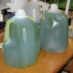 green_water_002